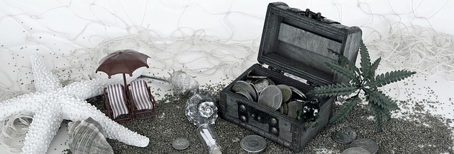 Americká hypotéka pro financování veškerých potřeb
